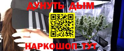 PSILOCYBIN Будённовск