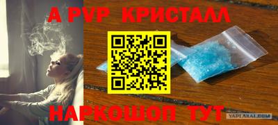 PSILOCYBIN Будённовск