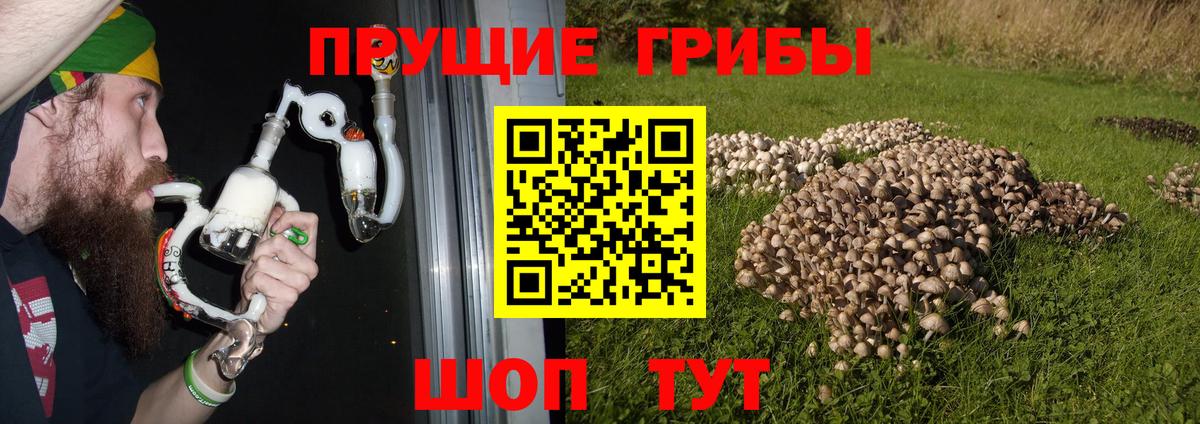 Псилоцибиновые грибы MAGIC MUSHROOMS  Вход с VPN  Мытищи 